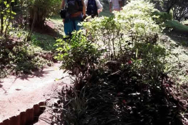 Kandy Top City Sights & Agro Tech Park Visit 4-Hours Tour Kandy Top City Sights visit -01