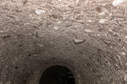 Santorin : visite des temps forts avec Oia et Pyrgos MegaloxoriSantorin : visite des temps forts avec Oia, Pyrgos et Megalochori