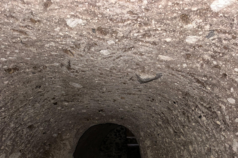 Santorin : visite des temps forts avec Oia et Pyrgos MegaloxoriSantorin : visite des temps forts avec Oia, Pyrgos et Megalochori