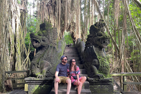 Bali: Private Ubud Highlights Tour with Customized Tour Temple, Monkey Forest, Waterfalls, & More (Without Tickets)