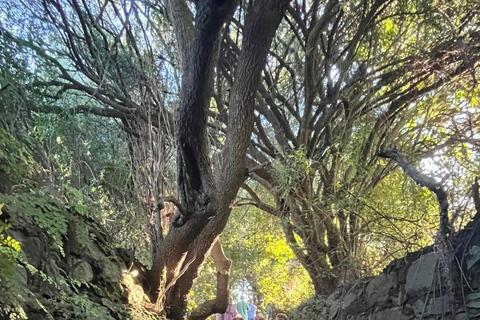 From Colonia: Trekking and Nature in Molino Artola with a Local Host