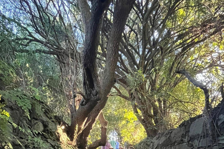 From Colonia: Trekking and Nature in Molino Artola with a Local Host