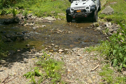 Tour de día completo por el monte desde Batumi