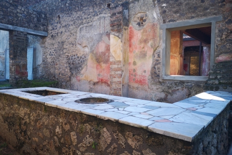 Ruinas de Pompeya con dos Bodegas Vesubianas