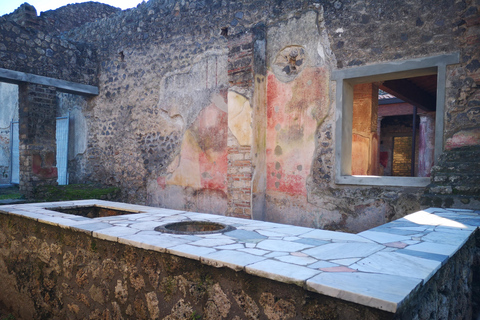 Ruinas de Pompeya con dos Bodegas Vesubianas