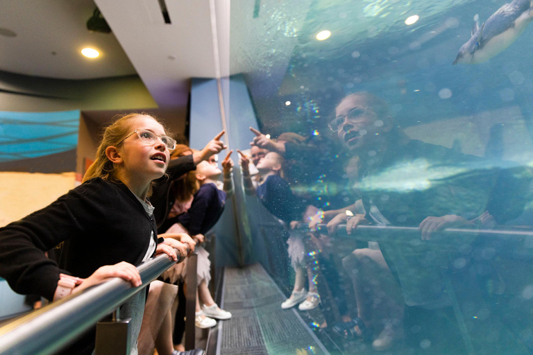 Christchurch International Antarctic Centre Entry Tickets