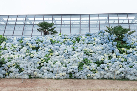 Jeju: South & West Coast Highlights Small Group Day Tour