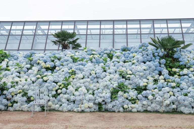 Jeju: South & West Coast Highlights Small Group Day Tour