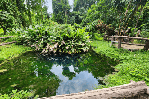 Sticky Waterfall &amp; Bua Tong Cave With Private Transfer