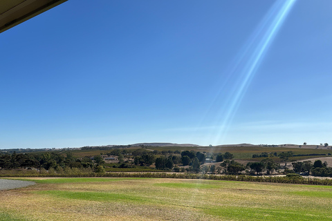 Clare Valley Uncorked: Full-Day Wine Adventure