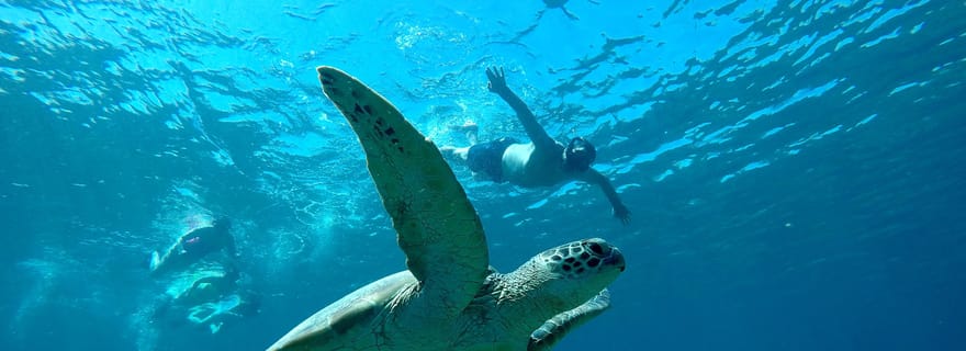 Îles Gili : Excursion SUNSET de plongée en apnée et prise de vue GOPRO