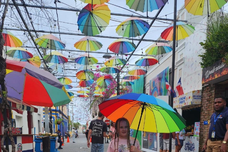 Puerto Plata: Monkey home, Damajagua Waterfalls & City Tour