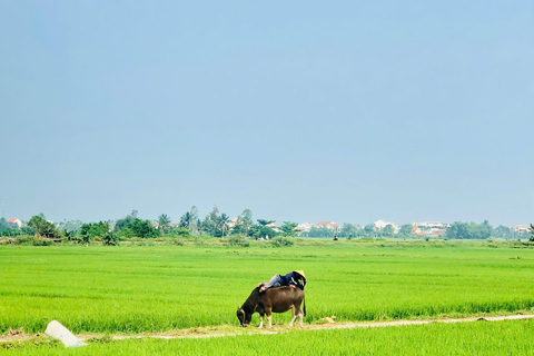 Hoi An: Countryside Bicycle Tour with Farm, Basket Boat Ride