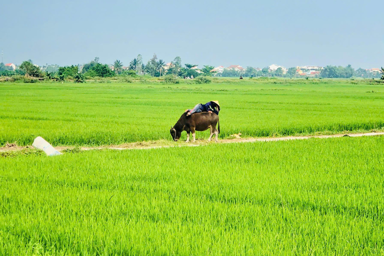 Hoi An: Countryside Bicycle Tour with Farm, Basket Boat Ride
