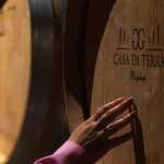 Bolgheri: visita guidata della cantina e degustazione dei nostri vini