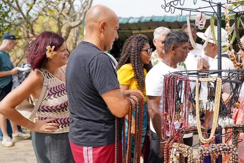 Sigiriya, Dambulla & Elephant Safari day tour from Negombo