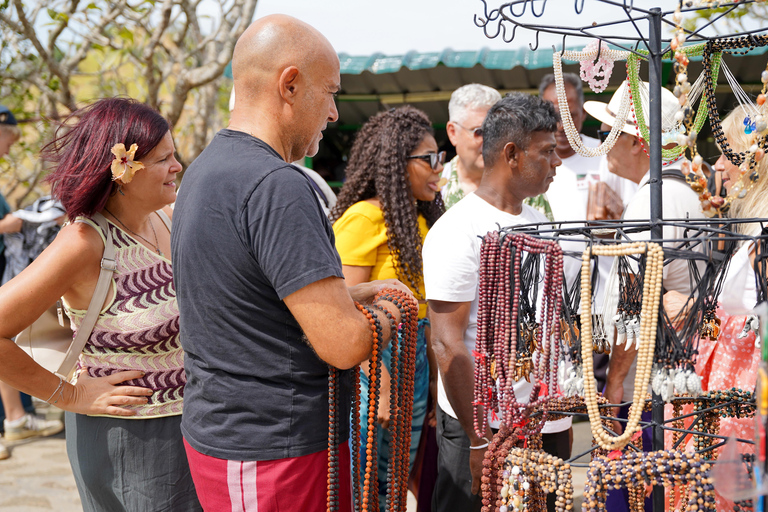 Sigiriya, Dambulla & Elephant Safari day tour from Negombo