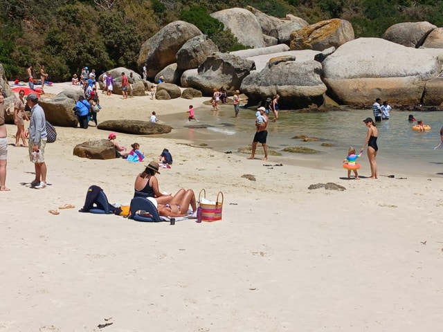 Beach Day at Boulder's Beach & Penguin watching, Half Day