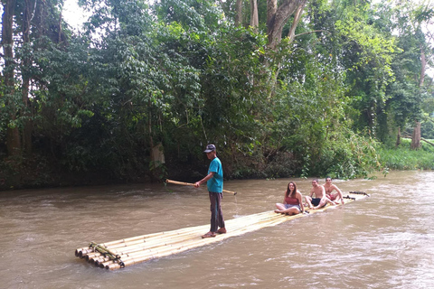 Chiang Mai: 2-Day Jungle Trek with Elephant Farm &amp; Raft Ride