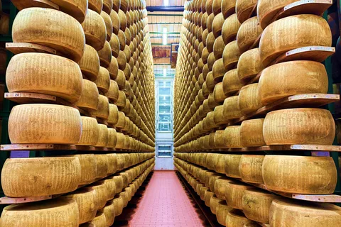 Depuis Milan : Food Valley avec visite d'une fromagerie et déjeuner