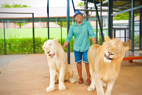 Phuket Big Buddha city tour + Lion Land with tour guide