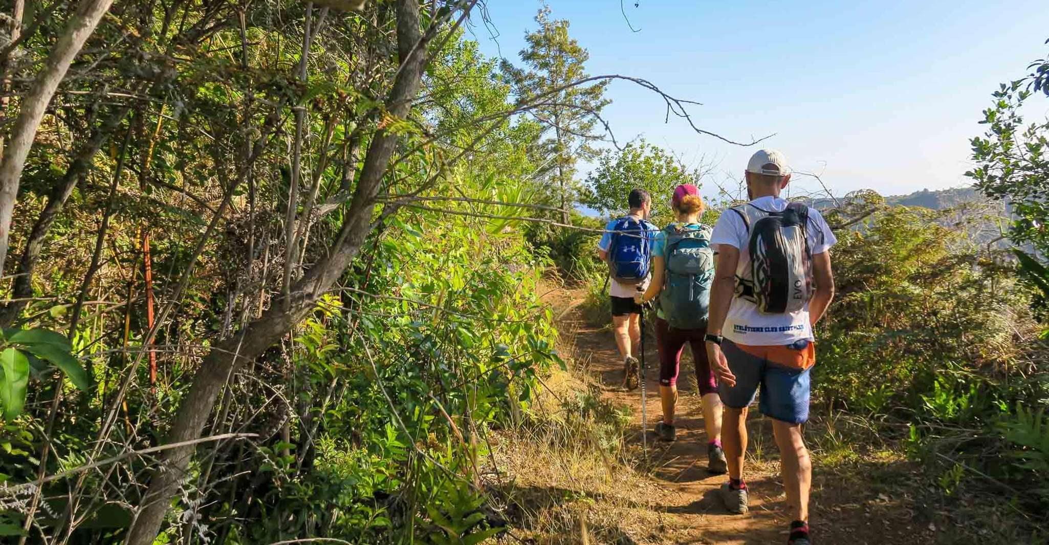 Group Hiking at Dimitile, Reunion Island. - Housity