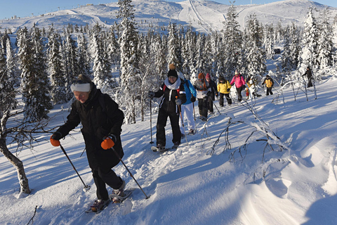 Levi Lapponia: Escursioni con le racchette da neve all&#039;aurora boreale