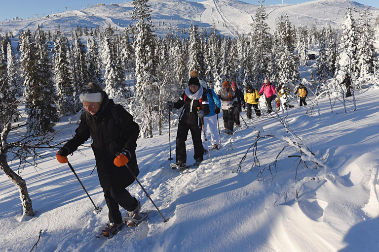 Levi Lapponia: Escursioni con le racchette da neve all&#039;aurora boreale