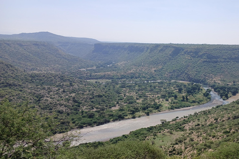 5-tägige Safari-Tour durch Awash und die Danakil-SenkeAddis Abeba: 5-tägige Safari-Tour durch Awash und die Danakil-Senke