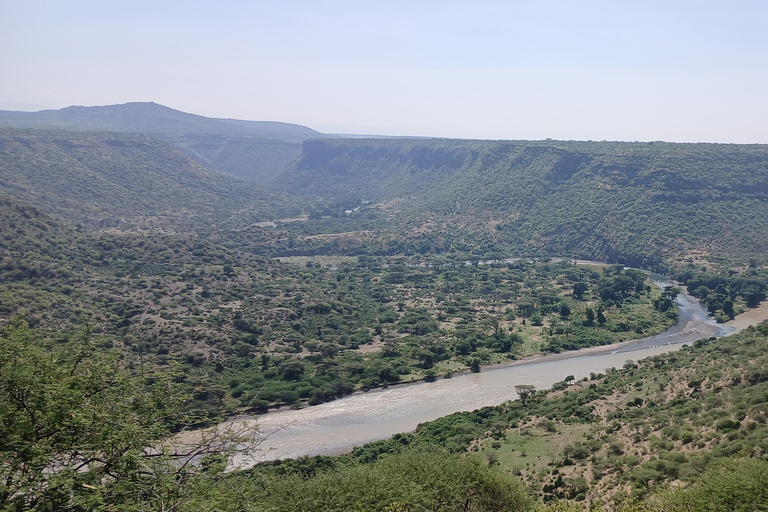 5-tägige Safari-Tour durch Awash und die Danakil-SenkeAddis Abeba: 5-tägige Safari-Tour durch Awash und die Danakil-Senke