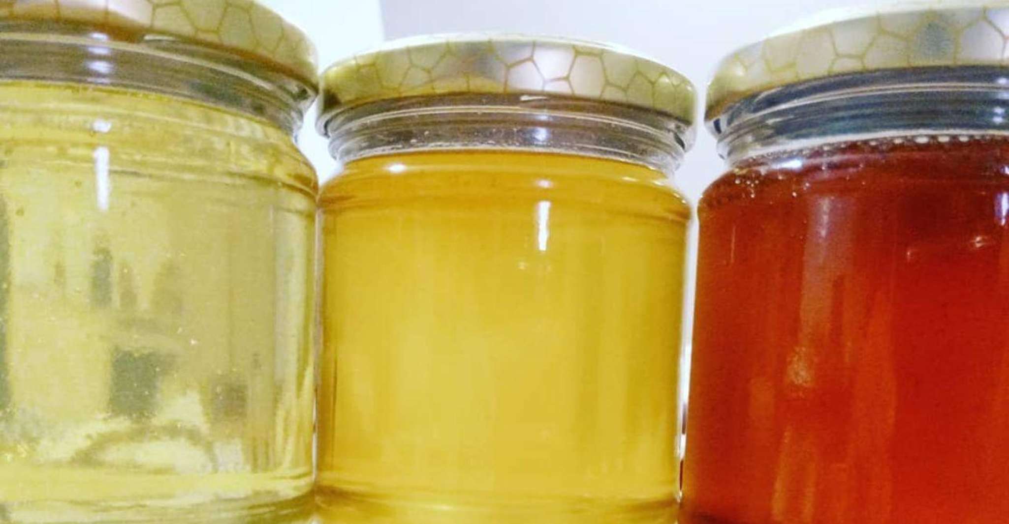 Oristano, Discover the Products of the Beehive - Housity