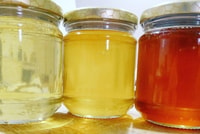 Oristano, découvrez les produits de la ruche - Housity