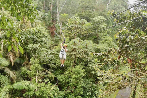 Panamá: Ilha dos Macacos e passeio de tirolesa pela floresta tropical de Gamboa