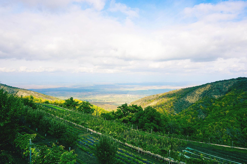 Tbilisi: Kakheti Culture & Wine Small-Group Tour