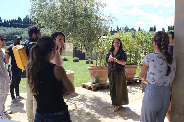 Olive Mill Tour with Premium Oil Tasting, Tuscan Food & Wine