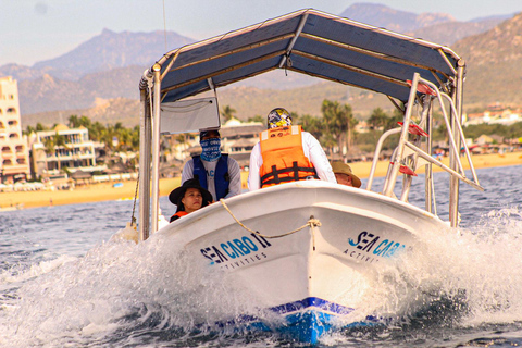 Cabo San Lucas: Tour al Arco en Barco Fondo de Cristal