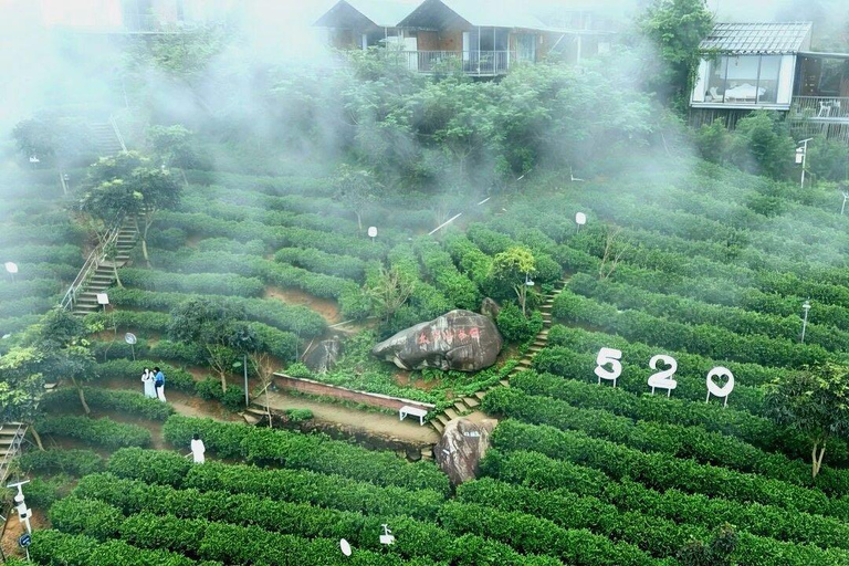 Hangzhou: Private Day Trip with Tea Picking & Hanfu