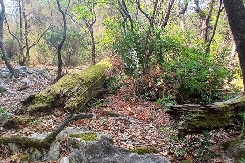 Lokrum Island Scenic Hike: History, Nature & Stories