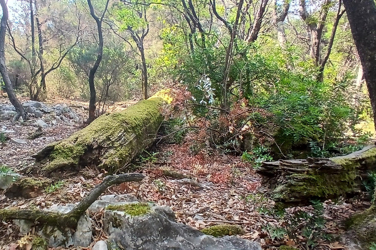 Lokrum Island Scenic Hike: History, Nature & Stories