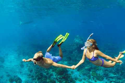 Gili Trawangan: Gruppi di snorkeling nei tre punti principaliOpzione 1: Snorkeling condiviso di 4 ore (punto di incontro Gili T)