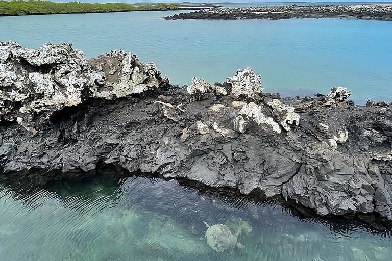 Ontdek de natuurlijke wonderen van Isabela en het eilandje Tintoreras