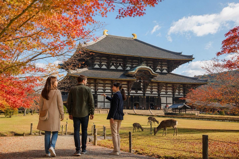 Nara: Autumn Colors, Deer & Historic Park Walk Early Bird 20% Off – Limited Autumn Offer