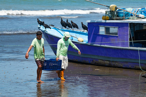 From San José: Jacó Beach Full-Day Pacific Coast Tour