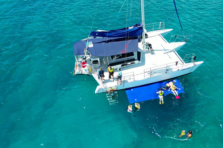 Waikiki: Sail and Turtle Snorkel Experience