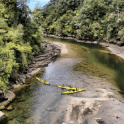Abel Tasman: Guided Kayak with Seals, Caves & Island Views Abel Tasman: Guided Kayak with Seals, Caves & Island Views