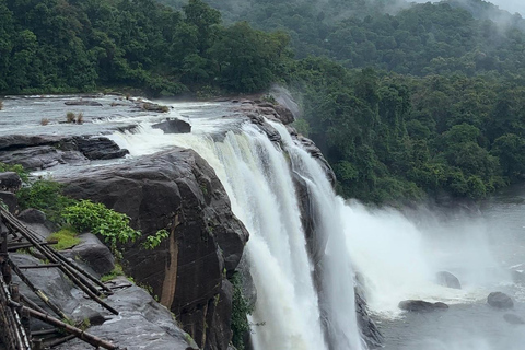 Depuis Kochi : Excursion d&#039;une journée aux chutes d&#039;eau d&#039;Athirappilly avec transferts