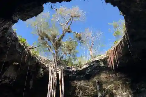 Mérida : Visite des cénotes de Santa Bárbara