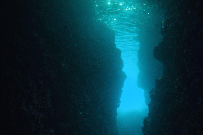 Ischia: Guided Snorkeling among Caves and Submerged Ruins