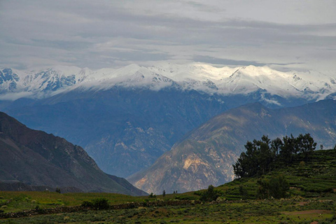 AREQUIPA: COLCA CANYON TREKKING 2 DAYS AND 1 NIGHT