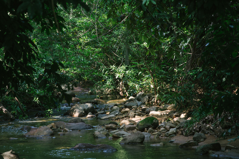 Ella to Anywhere: Private Scenic Journey & Flexible Stops Private Car with Driver – Up to 125 km (Island-wide)